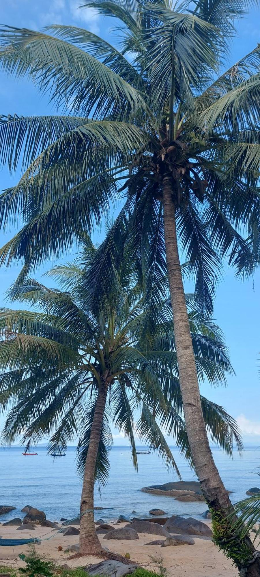 Home Away Tioman Island Kampung Genting 外观 照片
